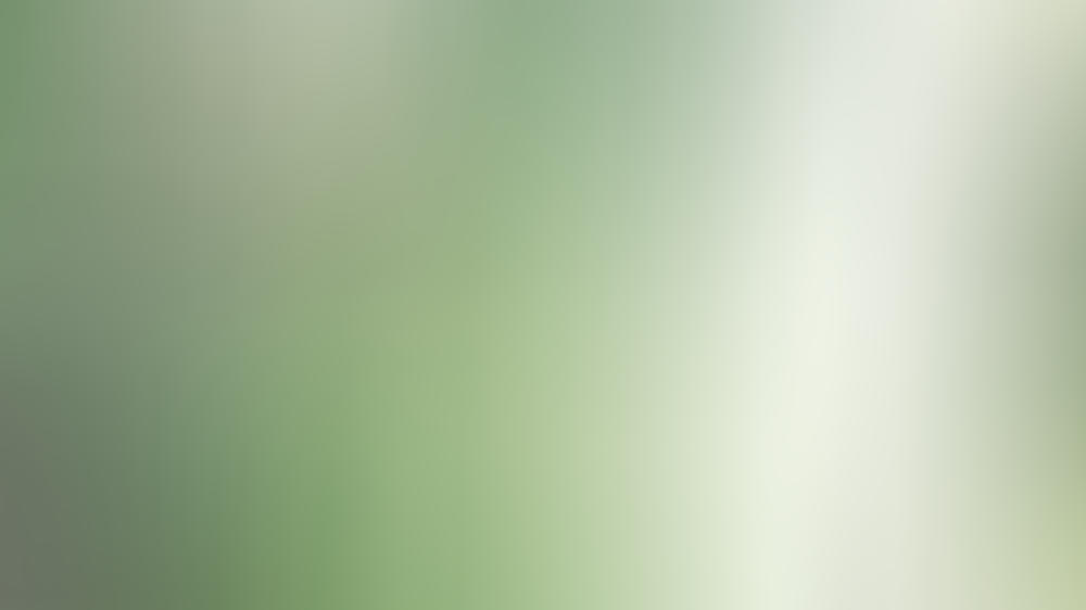 Carpendale gibt alles für ein gutes Foto Carpendale gibt alles für ein gutes Foto