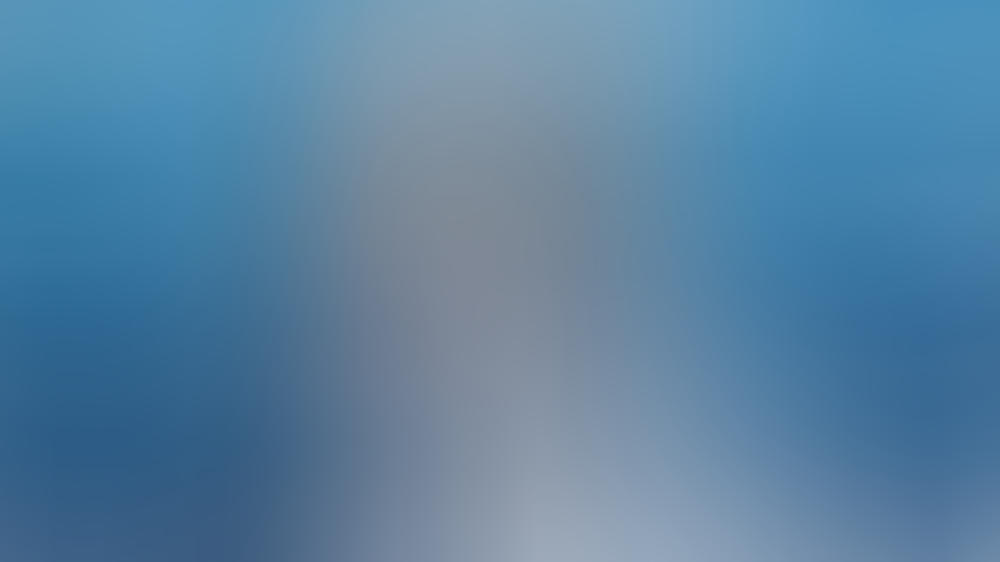 Ellen DeGeneres kämpft für Elefanten Ellen DeGeneres kämpft für Elefanten