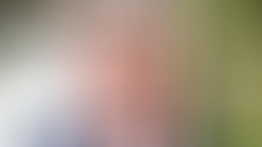 Samt Beweisfoto? Weitere Frau belastet Dustin Hoffman Samt Beweisfoto? Weitere Frau belastet Dustin Hoffman