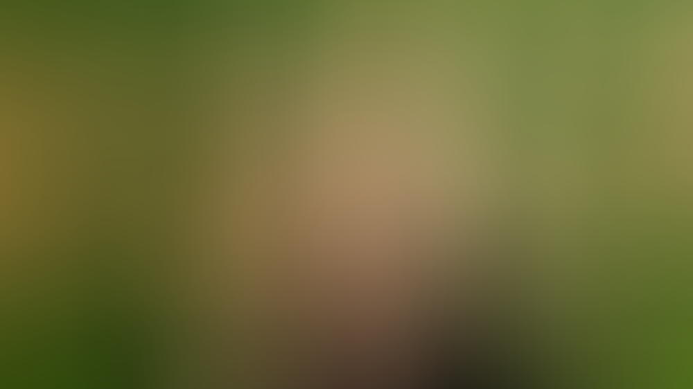 Pamela Anderson: Kardashians, hört endlich auf Pelze zu tragen! Pamela Anderson: Kardashians, hört endlich auf Pelze zu tragen!