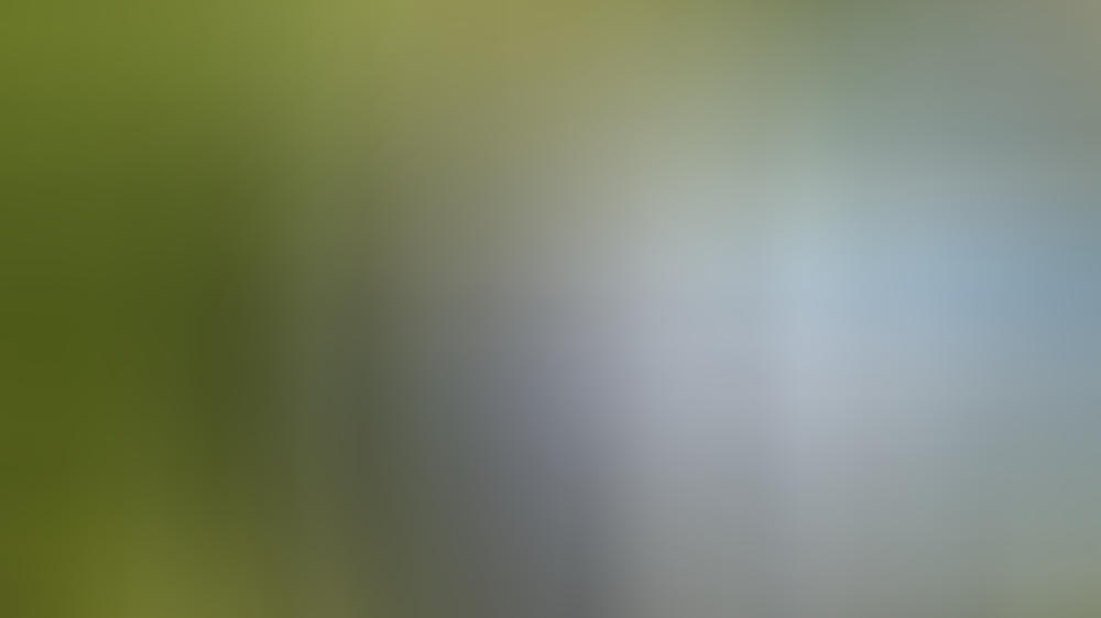 Krimi-Tipps am 1. Weihnachtsfeiertag Krimi-Tipps am 1. Weihnachtsfeiertag