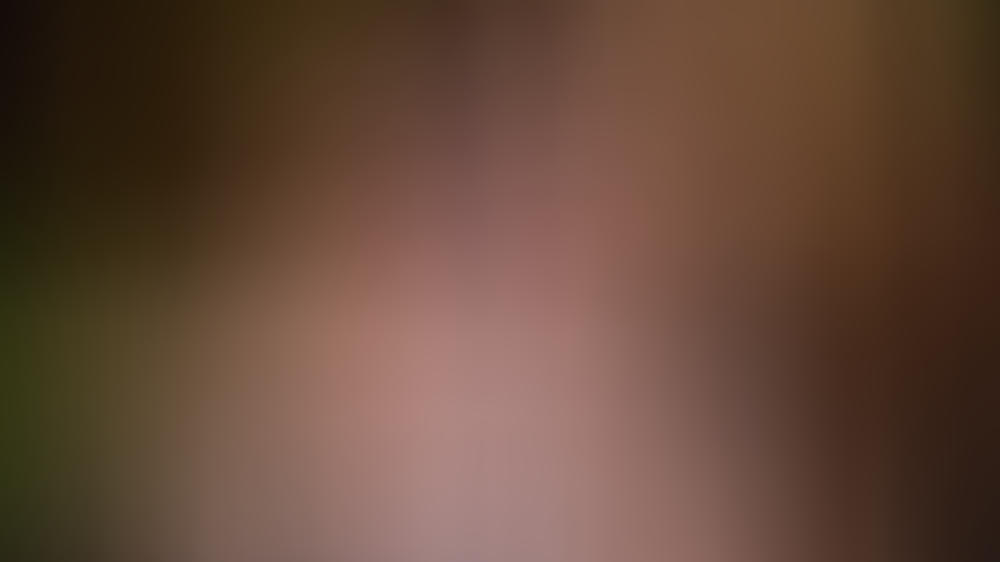 Endlich offiziell: Das sind die zwölf Kandidaten des Dschungelcamps Endlich offiziell: Das sind die zwölf Kandidaten des Dschungelcamps