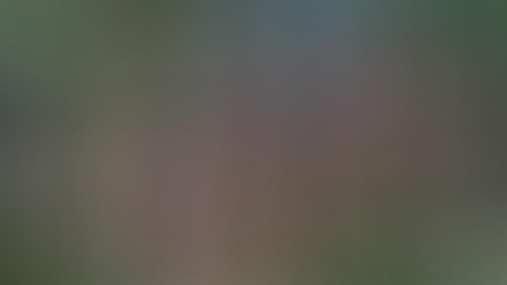 Der erste Promi hat das Dschungelcamp verlassen Der erste Promi hat das Dschungelcamp verlassen