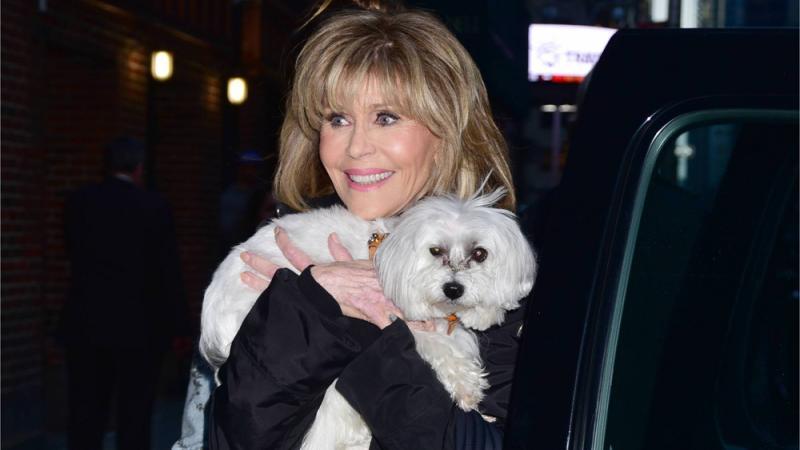 Jane Fonda sorgt sich wegen 'wabbeliger Haut' Jane Fonda sorgt sich wegen 'wabbeliger Haut'