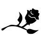 Bachelor in Paradise Bachelor in Paradise