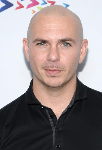 Pitbull Pitbull