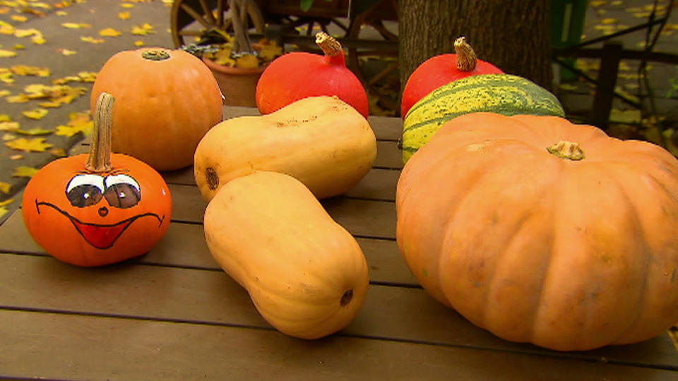 Hokkaido, Butternut, Muskatkürbis Welche Kürbissorte eignet sich für was?