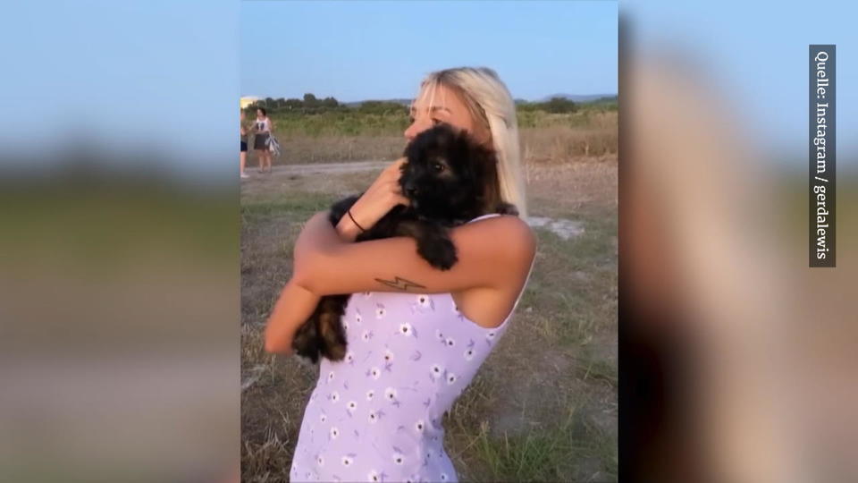 Influencerin adoptiert Hund Gerda Lewis knuddelt Hündchen Teddy