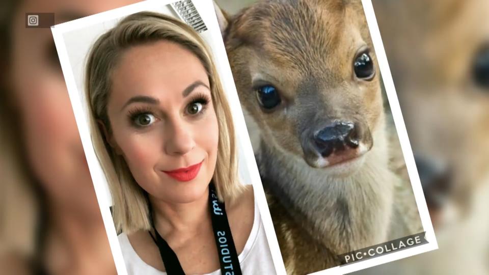 Welchem Tier sehen die Promis ähnlich? Ruth Moschner ruft lustige Tier-Challenge ins Leben