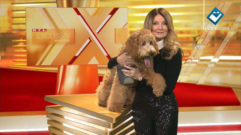 Tierischer Co-Moderator Frauke Ludowig und Hund Cooper bei RTL Exclusiv