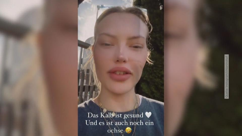 "Wahnsinns-Erfahrung" bei Kalb-Geburt Cheyenne Ochsenknecht als tierische Geburtshelferin