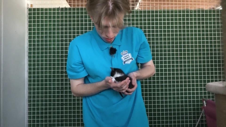 Iggis tierisch großes Herz Patricia Kellys Sohn hilft Tieren