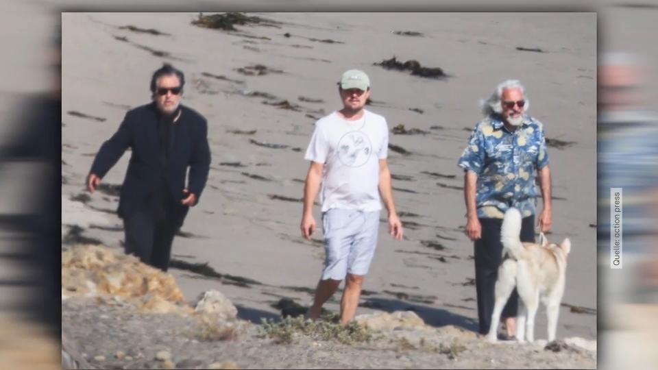 Flottes Trio Leonardo DiCaprio mit seinem Vater & Al Pacino am Strand