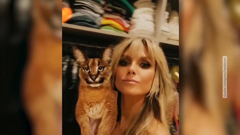 Lost im Klamotten-Labyrinth Heidi Klum, was ist DAS für ein Kleiderschrank?!