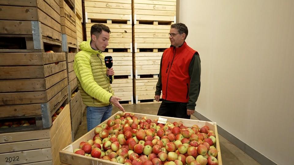 Alles wird teurer? Von wegen! Mit diesen Lebensmitteln können Sie jetzt sparen