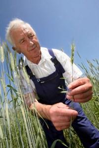 Kreuzallergie: Eine Allergie kommt selten allein