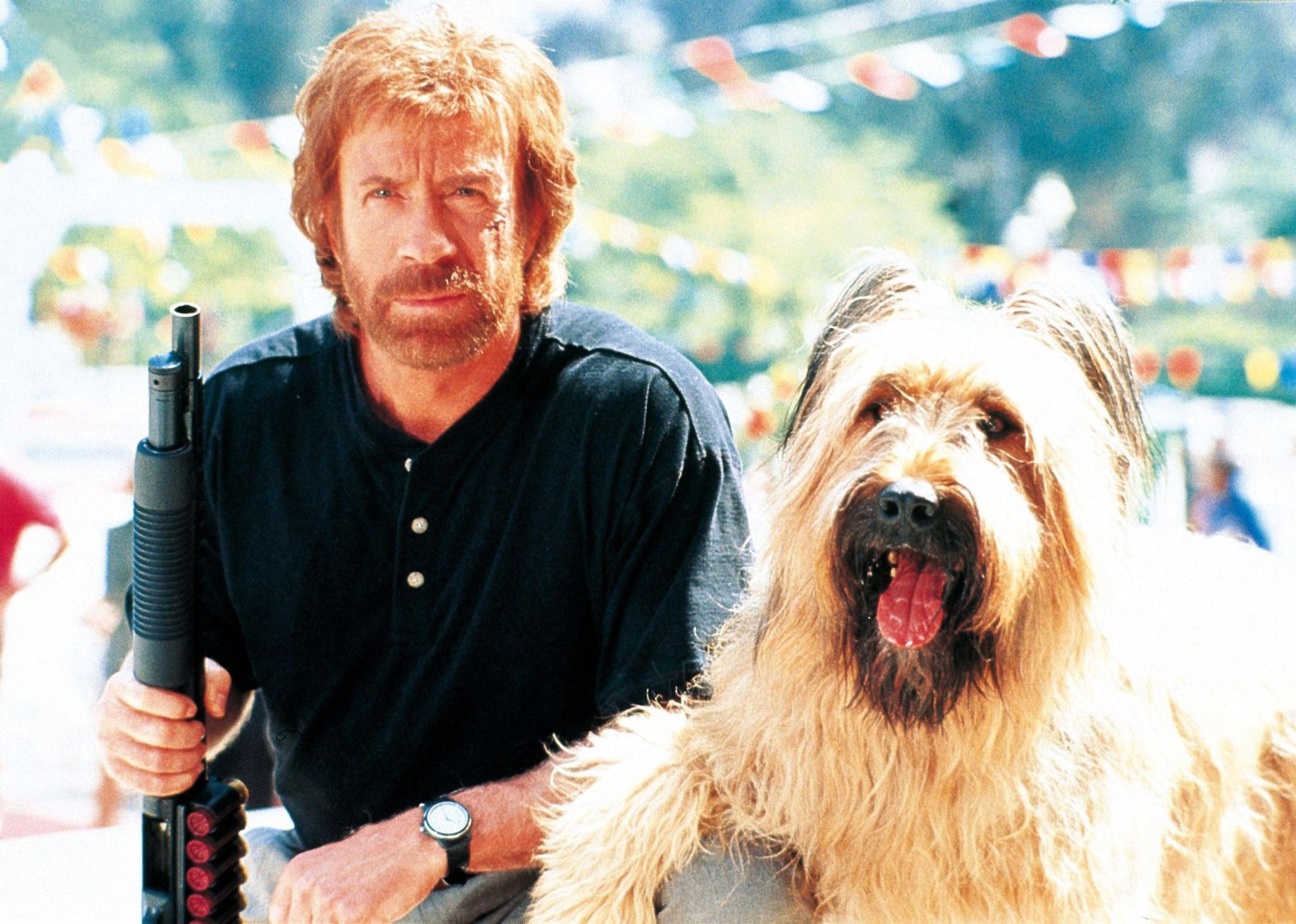 Chuck Norris 1995