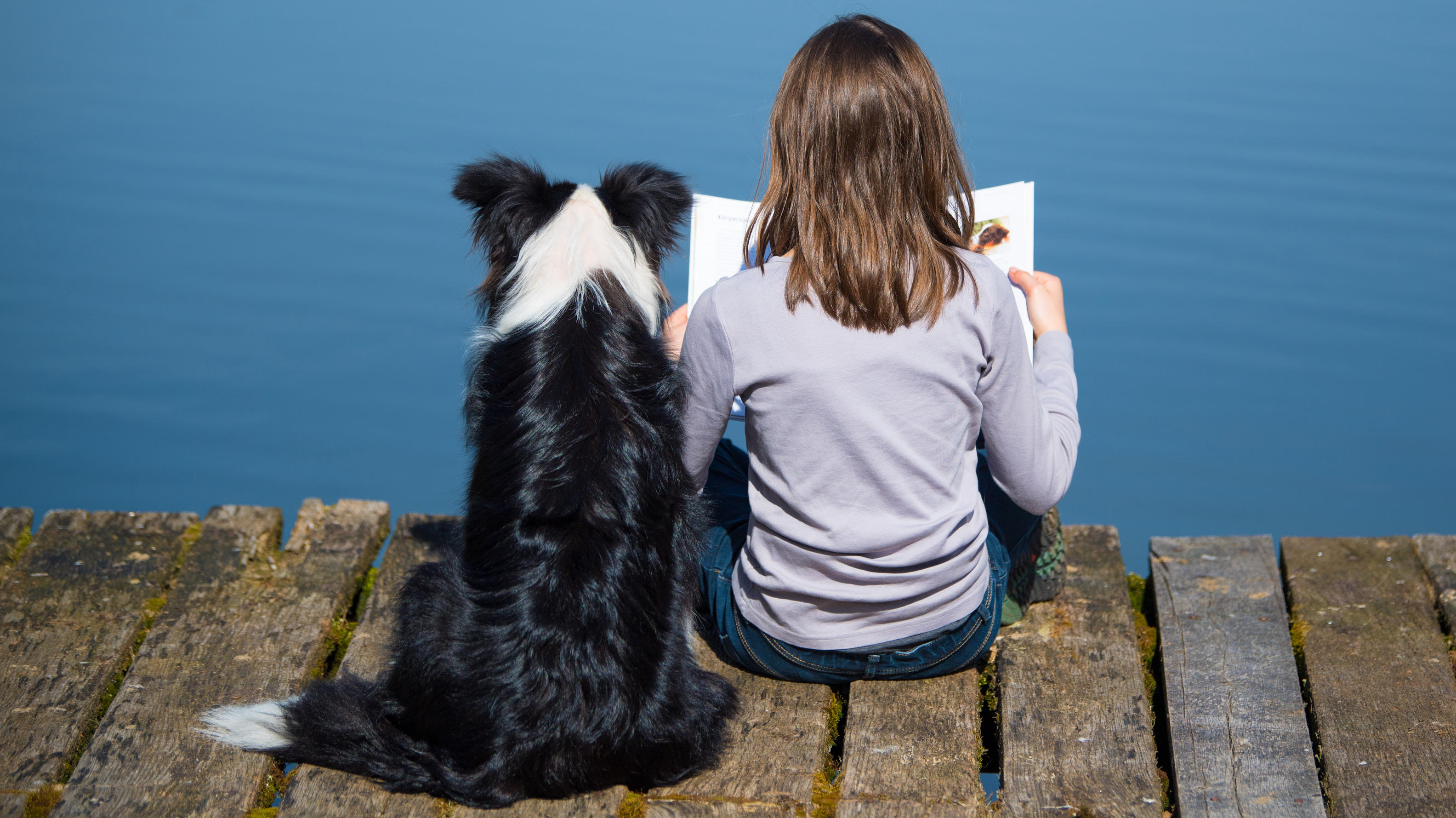 Haustier fürs Kind Darum sollten Kinder mit Hund und Katze aufwachsen