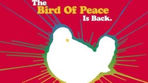 Woodstock 50: Abgesagt!