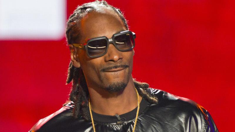 Snoop Dogg Fullt Lucke Im Musikbusiness