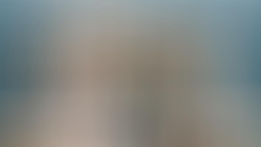 Die Geissens Scheidung 2019 Die Geissens Scheidung 2019