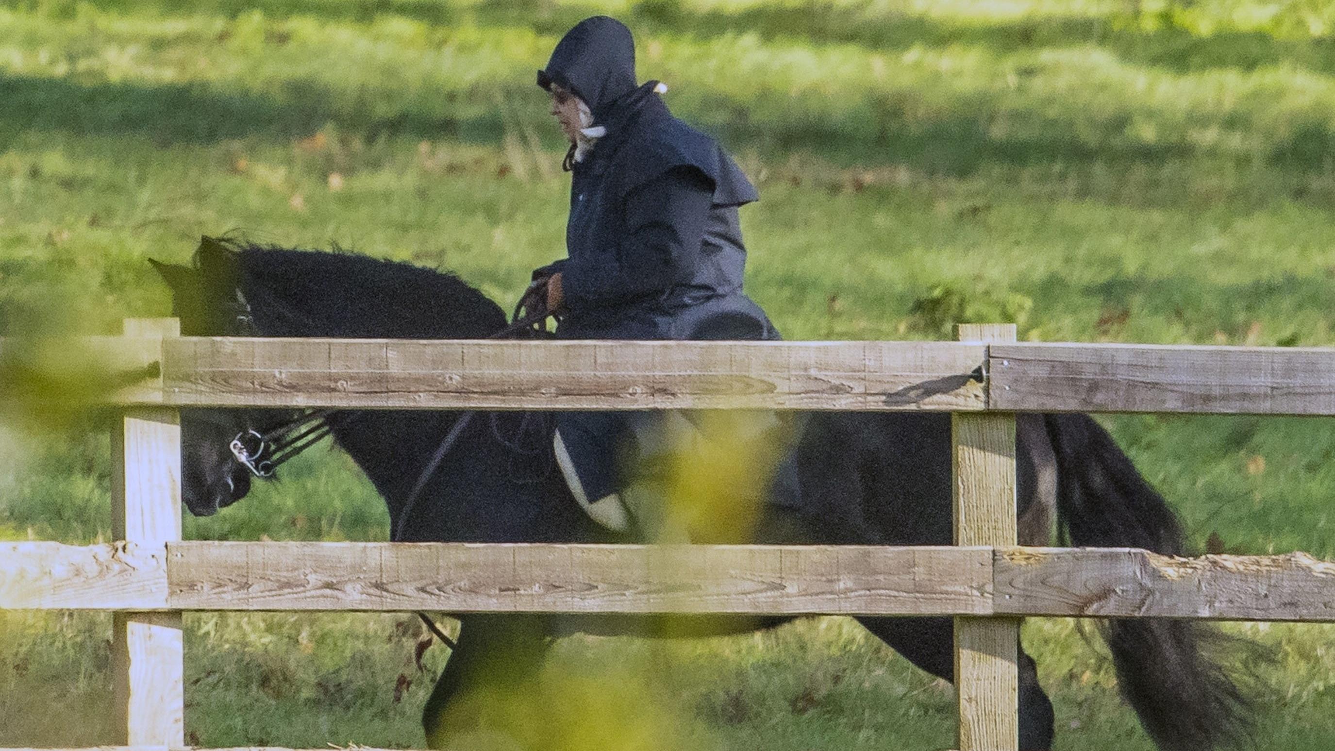 Queen Elizabeth reitet auf dem Pferd davon - und das mit 93 Jahren