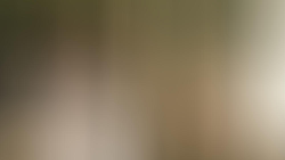 Das Vermächtnis Der Tempelritter Das Vermächtnis Der Tempelritter