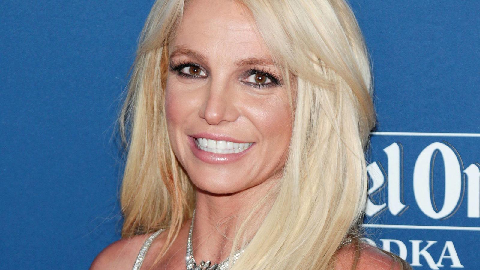 Britney Spears Eingesperrt Im Badezimmer Security Musste Sie Befreien