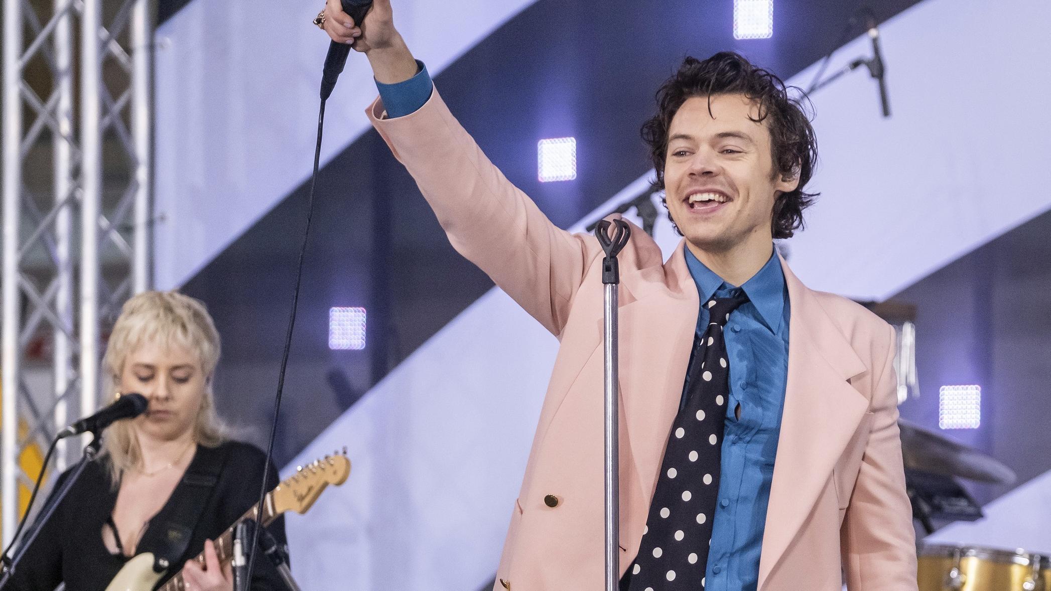 Porno Schnauzer 70er Look Jep Das Ist Tatsachlich Boyband Star Harry Styles