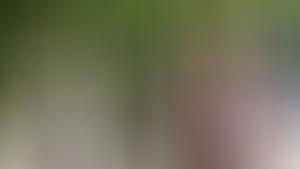 Sturm der Liebe, Unter uns, GZSZ, ...