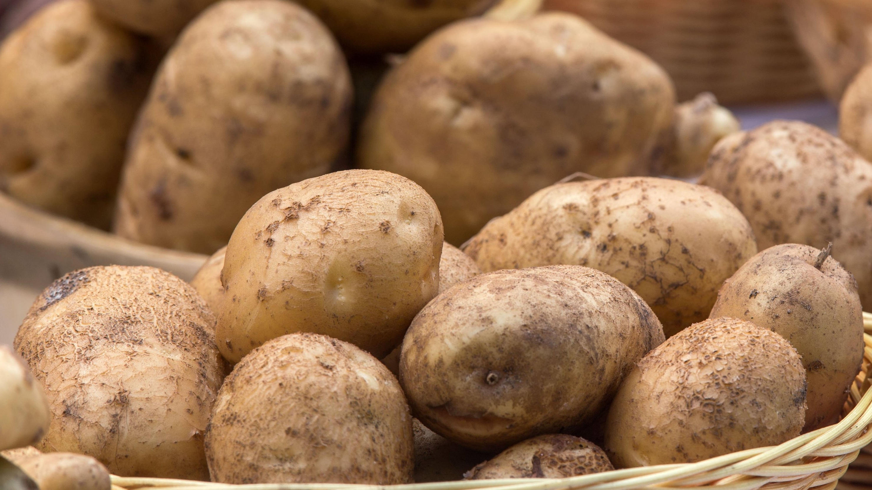 Kartoffeln hießen im 18. Jahrhundert auch Papas oder Baccaras