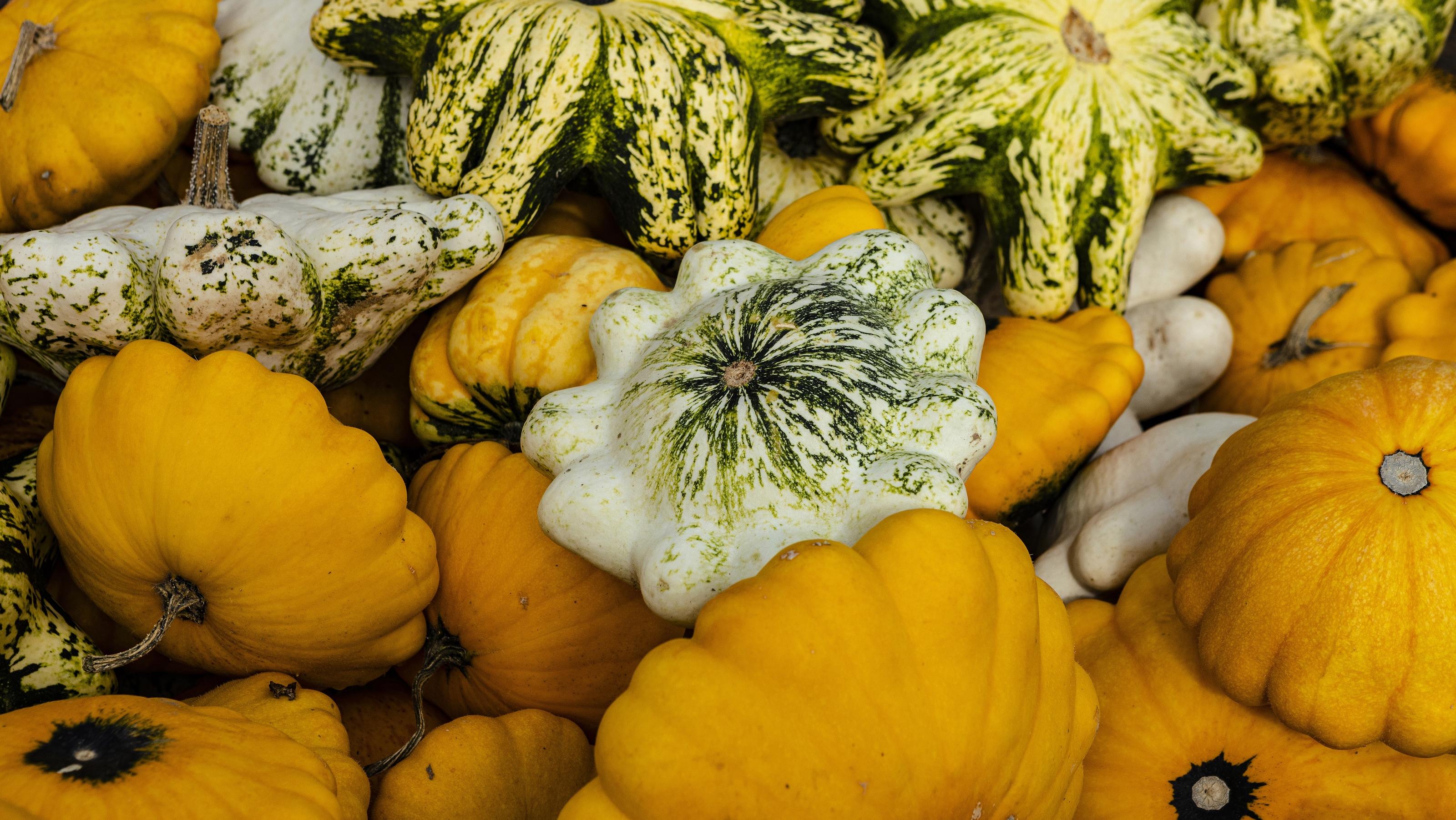 Herbst ist Kürbiszeit: Bei welchen Kürbissorten kann man die Schale