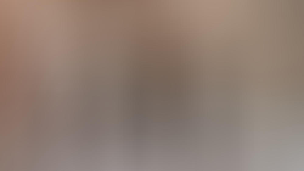 Wer Ist Jungle König 2021 Wer Ist Jungle König 2021