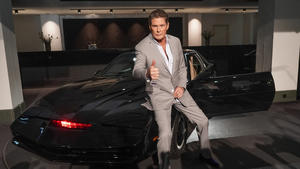 David Hasselhoff versteigert Hab & Gut