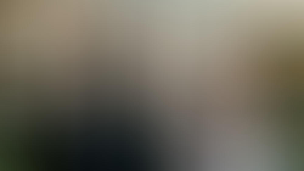 Der Wald Serie Netflix Der Wald Serie Netflix