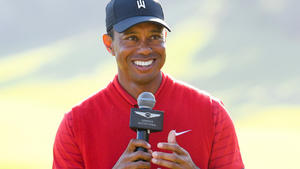 Tiger Woods: Ist das die wahre Unfallursache?