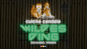 Der Song zum Dschungelcamp 2012: "Wildes Ding" von Culcha Candela