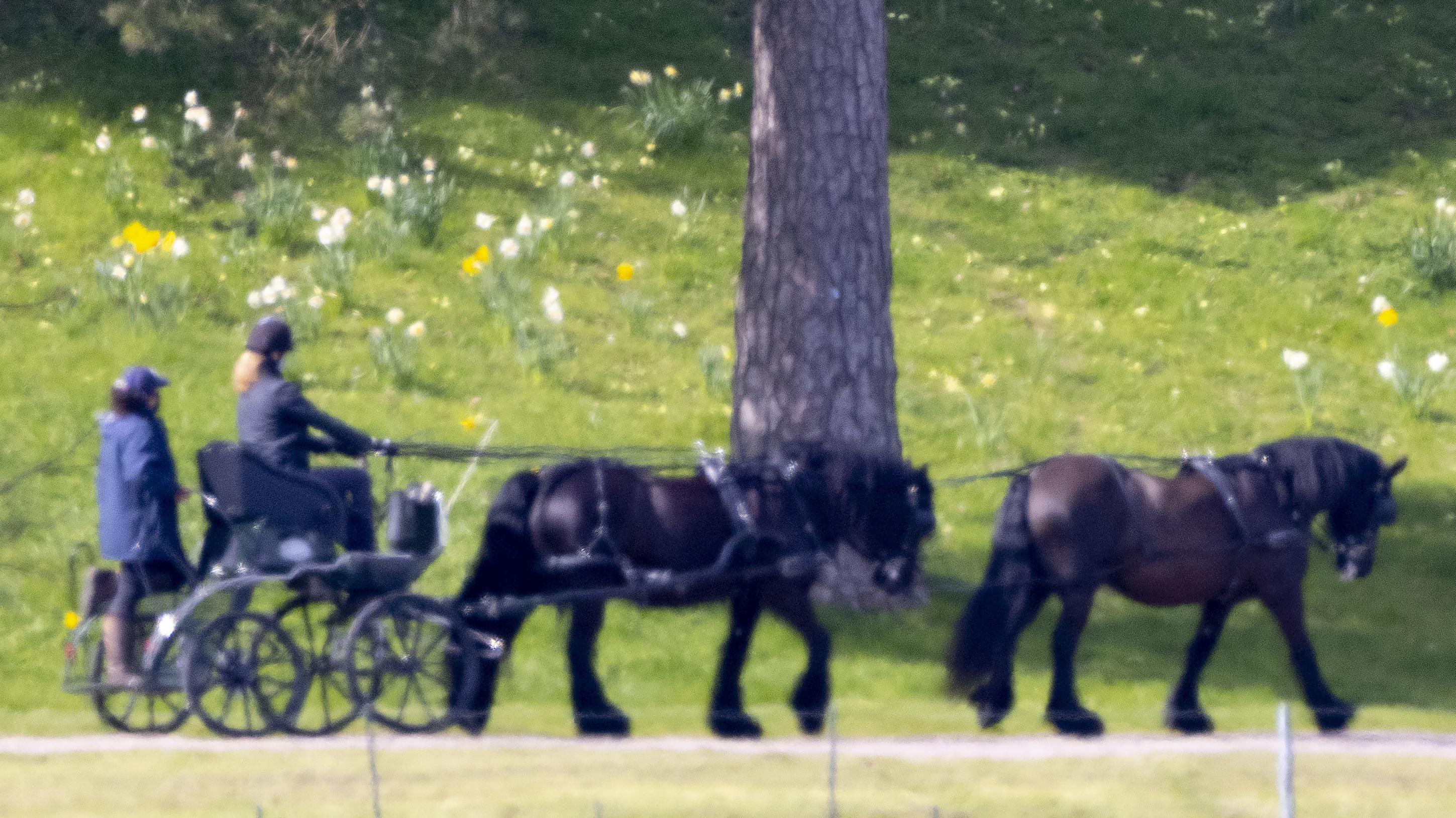 Hier fährt Lady Louise Windsor nach Prinz Philips Tod durch die Natur - auf seiner Kutsche