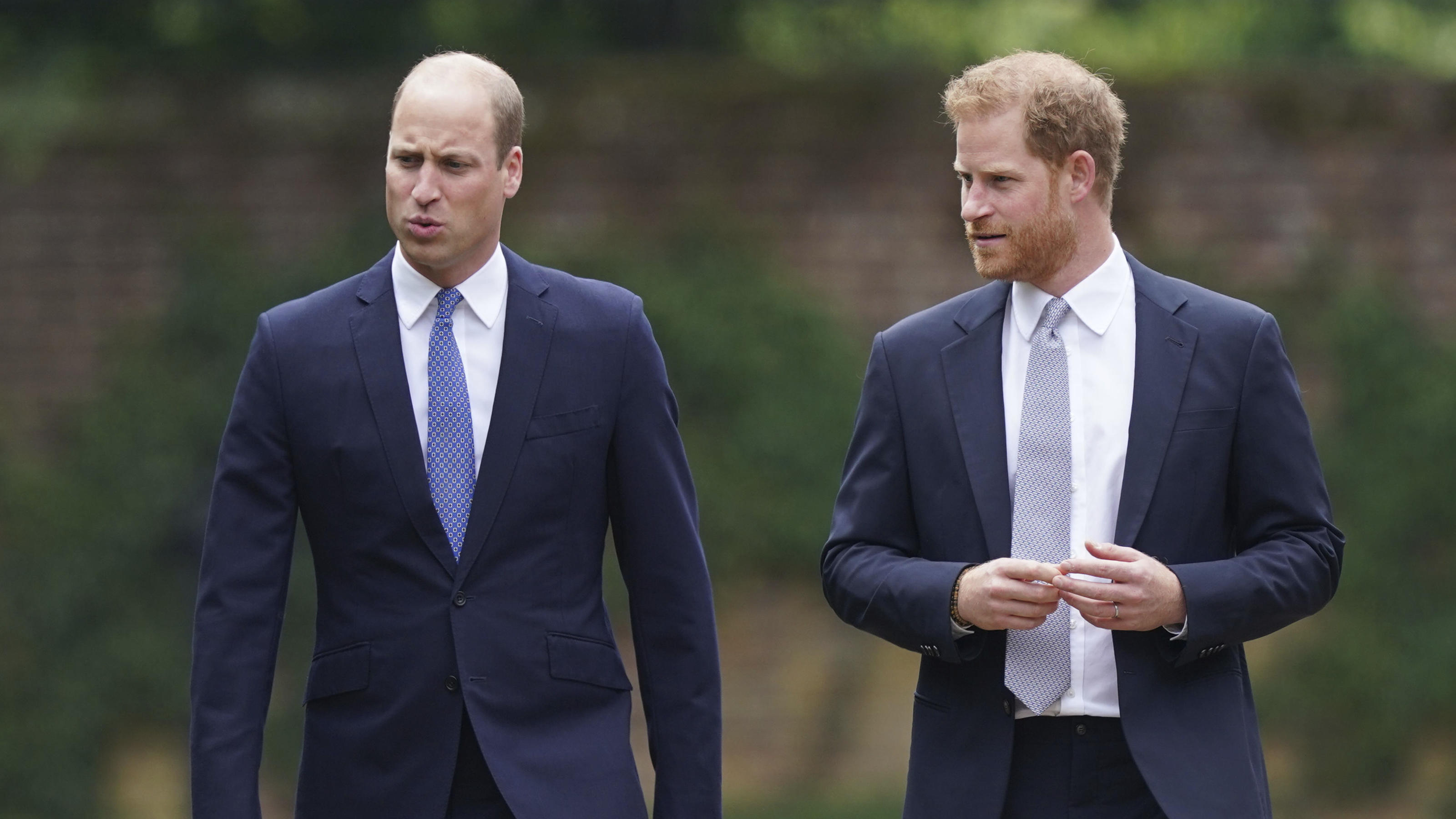 Prinz William und Prinz Harry haben im Juli gemeinsam eine Statue für ihre verstorbene Mutter Diana enthüllt.