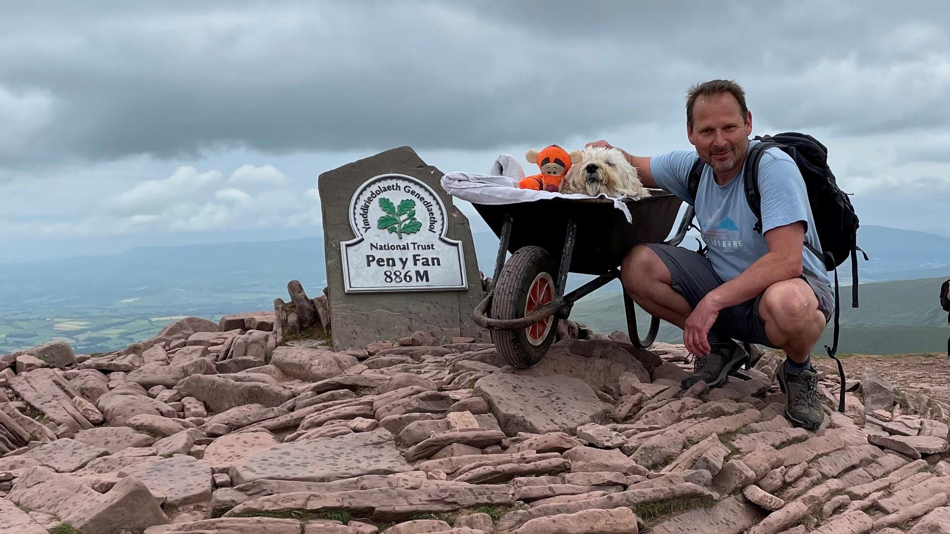 Hund Montys letzte große Reise Mann schiebt sterbenden Labradoodle in