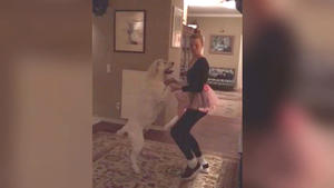 Tanztraining mit ihrem Hund