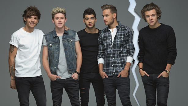 One Direction: Niall Horan, Zayn Malik, Liam Payne, Louis Tomlinson und Harry Styles