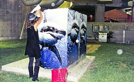 Jessica Alba klebt heimlich Hai-Plakate