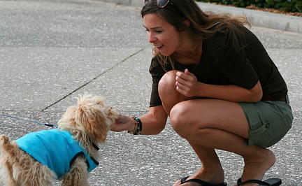 Kurse in Flughafen-Atmosphäre: So 'lernen' Promi-Hunde, den Vielflieger-Stress zu bewältigen