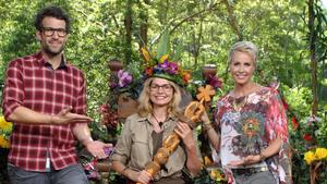 Jetzt steht fest: Das RTL-Sommer-Dschungelcamp kommt