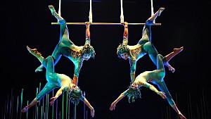 Berühmt für formvollendete Akrobatik: Der Cirque du Soleil