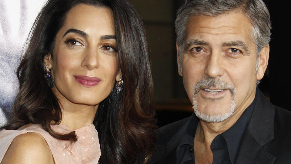 George und Amal Clooney adoptieren Hund