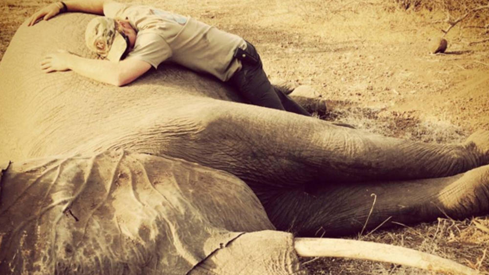 Prinz Harry: Umarmung für die Elefanten-Dame