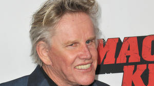 "Sharknado": Diese Stars sind in Teil vier zu sehen