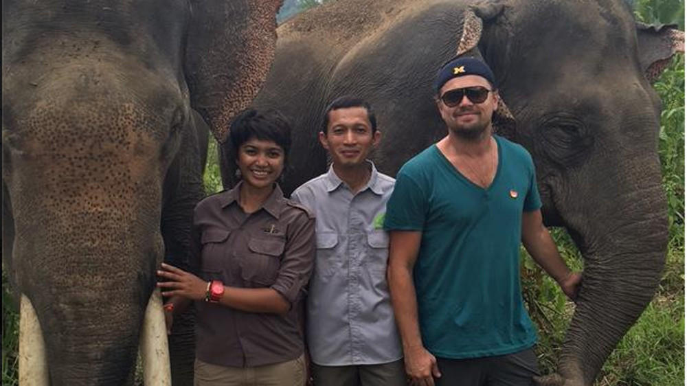Leonardo DiCaprio im Einsatz für Elefanten